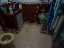Blk 249 Hougang Avenue 3 (Hougang), HDB 5 Rooms #147186672